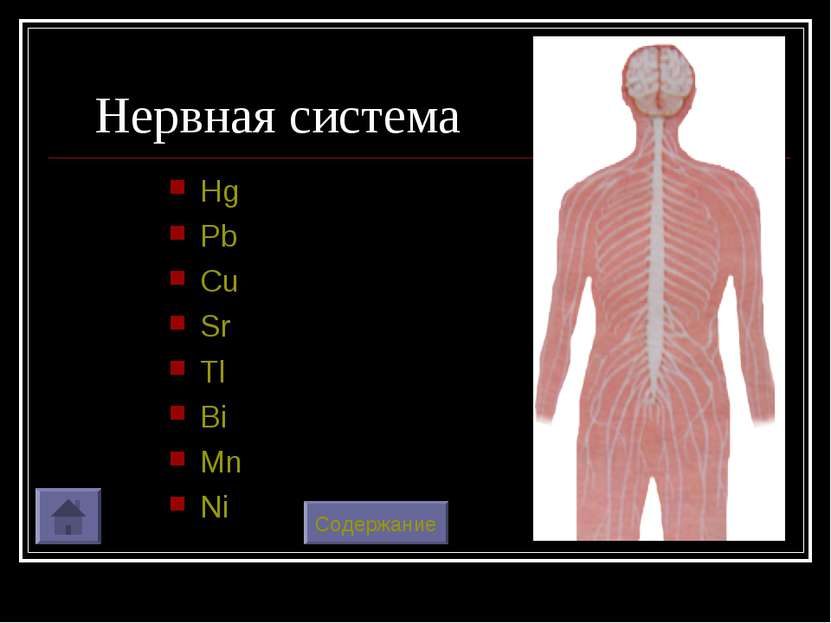Нервная система Hg Pb Cu Sr Tl Bi Mn Ni Содержание