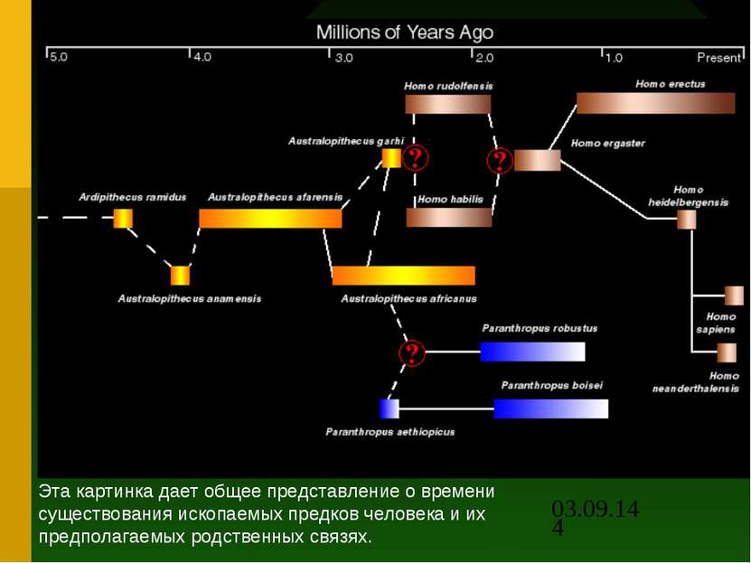 Эта картинка дает общее представление о времени существования ископаемых пред...