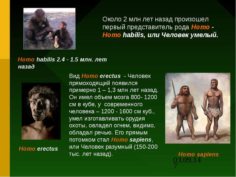 Около 2 млн лет назад произошел первый представитель рода Homo - Homo habilis...