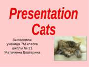 Presentation Cats