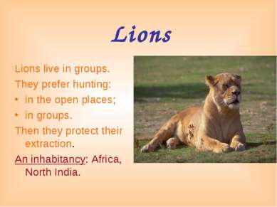 Lions Lions live in groups. They prefer hunting: in the open places; in group...