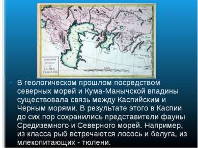 В геологическом прошлом посредством северных морей и Кума-Манычской впадины с...