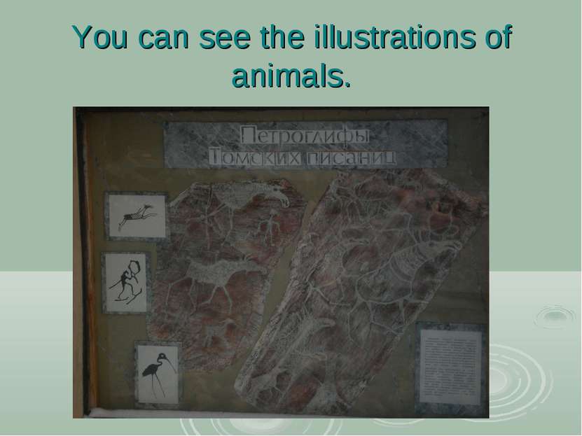 You can see the illustrations of animals.