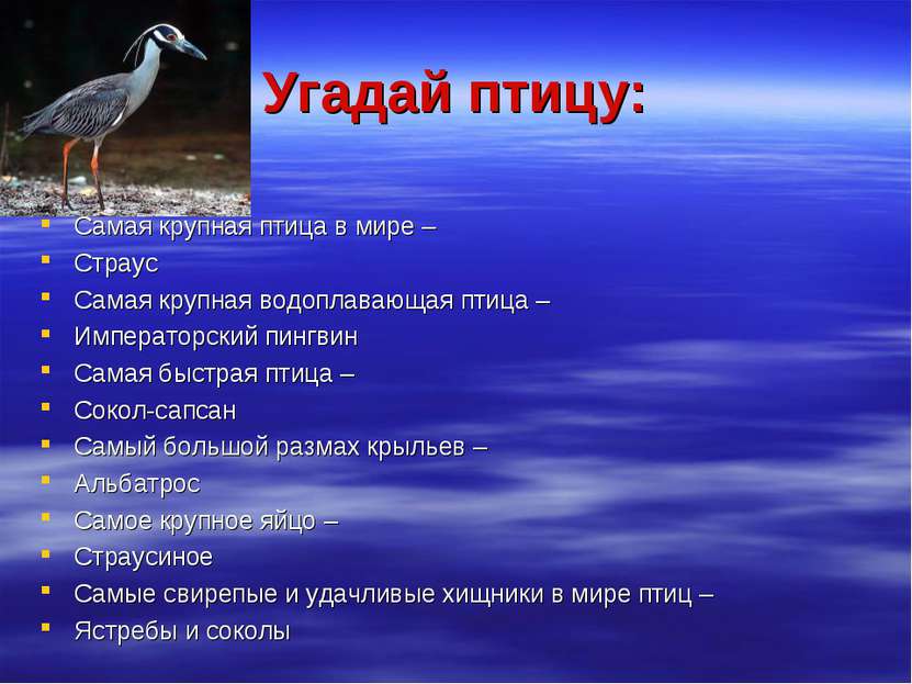 Угадай птицу: Самая крупная птица в мире – Страус Самая крупная водоплавающая...