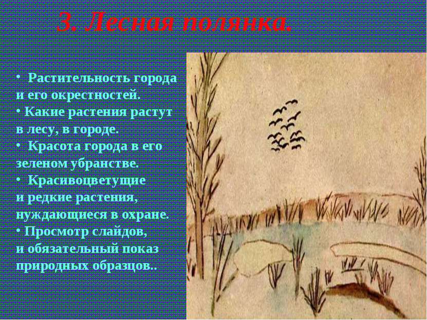 3. Лесная полянка. Растительность города и его окрестностей. Какие растения р...