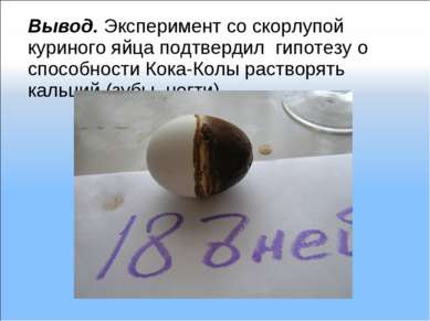 Вывод. Эксперимент со скорлупой куриного яйца подтвердил гипотезу о способнос...