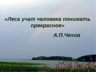 «Леса учат человека понимать прекрасное» А.П.Чехов