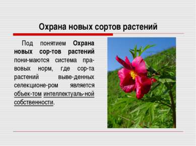 Охрана новых сортов растений Под понятием Охрана новых сор-тов растений пони-...
