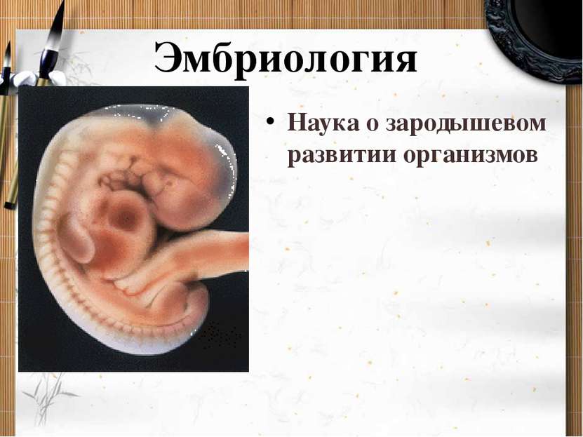 Эмбриология Наука о зародышевом развитии организмов