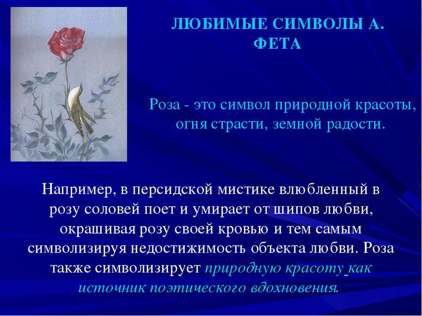 ЛЮБИМЫЕ СИМВОЛЫ А. ФЕТА Роза - это символ природной красоты, огня страсти, зе...