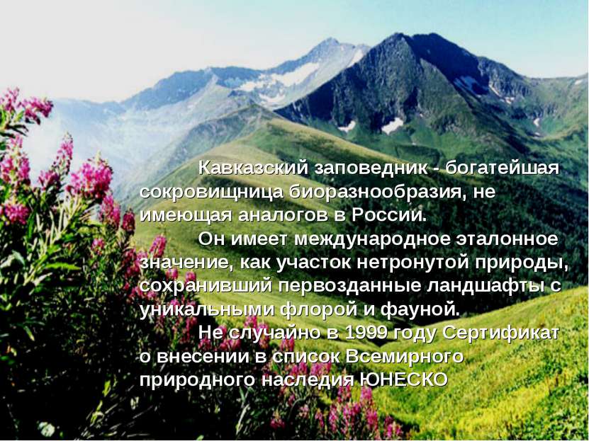 Кавказский заповедник - богатейшая сокровищница биоразнообразия, не имеющая а...