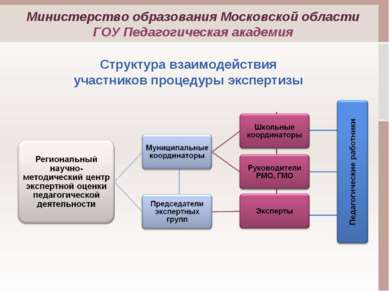 Структура взаимодействия участников процедуры экспертизы Министерство образов...