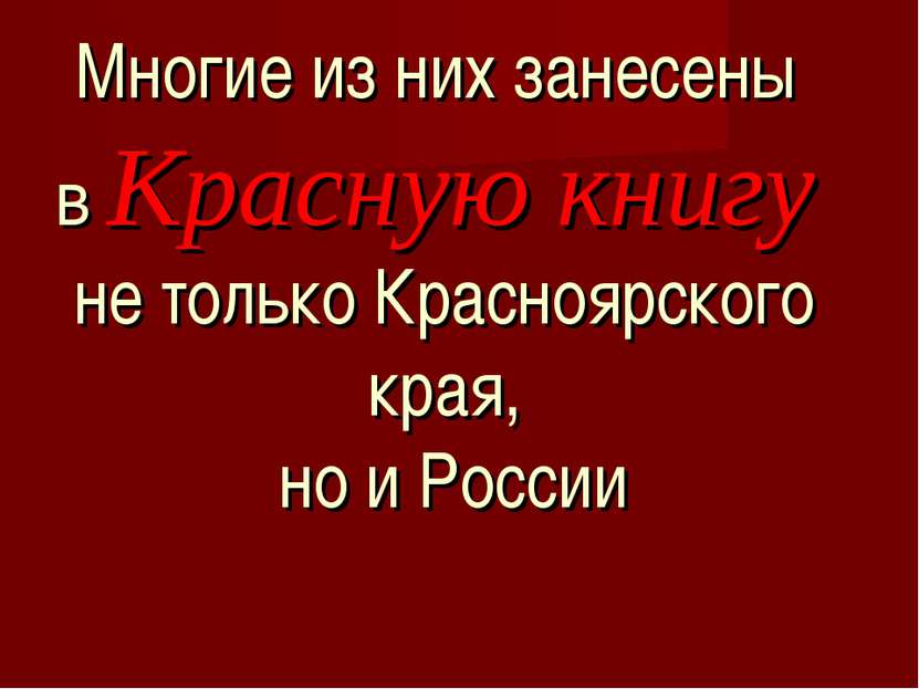 Многие из них занесены в Красную книгу не только Красноярского края, но и России