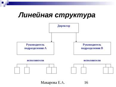 Линейная структура Макарова Е.А.