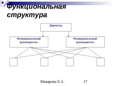 Функциональная структура Макарова Е.А.