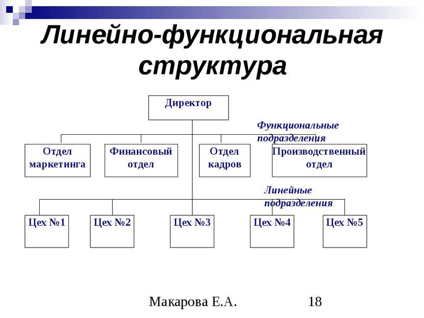 Линейно-функциональная структура Макарова Е.А.