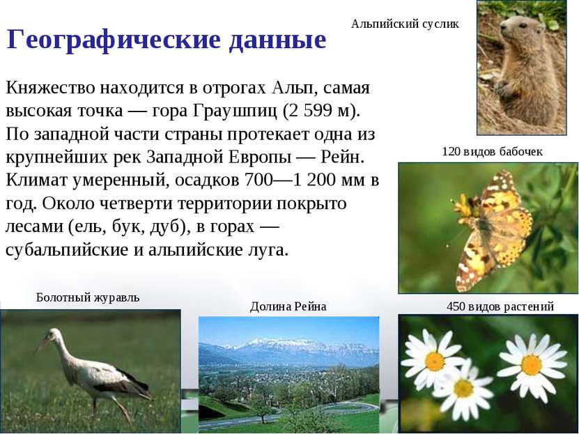 450 видов растений 120 видов бабочек Альпийский суслик Долина Рейна Болотный ...