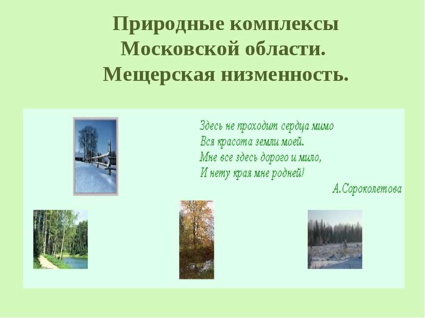 Природные комплексы Московской области. Мещерская низменность.