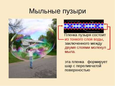 Мыльные пузыри Пленка пузыря состоит из тонкого слоя воды, заключенного между...