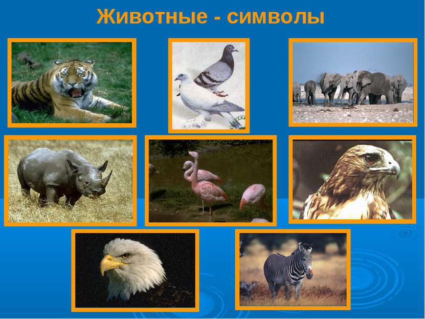 Животные - символы