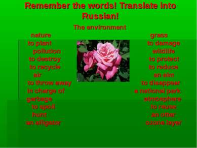 Remember the words! Translate into Russian! The environment nature grass to p...