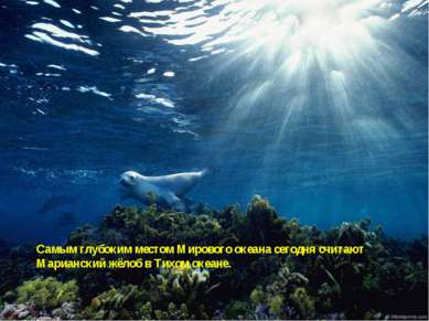 Самым глубоким местом Мирового океана сегодня считают Марианский жёлоб в Тихо...