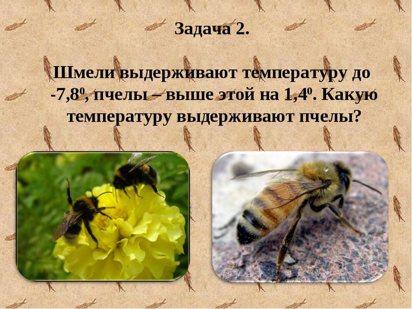 Задача 2. Шмели выдерживают температуру до -7,80, пчелы – выше этой на 1,40. ...