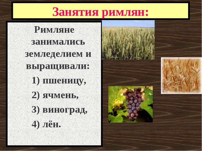 Занятия римлян: Римляне занимались земледелием и выращивали: 1) пшеницу, 2) я...