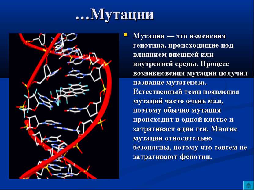 …Мутации Мутация — это изменения генотипа, происходящие под влиянием внешней ...