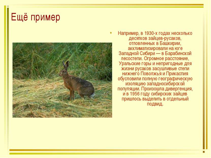 Ещё пример Например, в 1930-х годах несколько десятков зайцев-русаков, отловл...