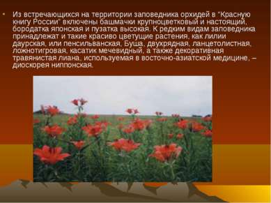 Из встречающихся на территории заповедника орхидей в “Красную книгу России” в...