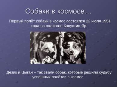 Собаки в космосе… Первый полёт собаки в космос состоялся 22 июля 1951 года на...