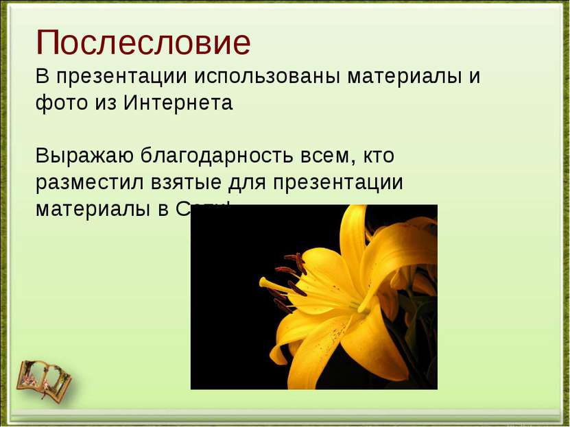 Послесловие В презентации использованы материалы и фото из Интернета Выражаю ...