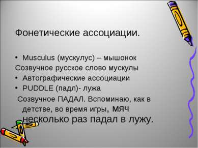 Фонетические ассоциации. Musculus (мускулус) – мышонок Созвучное русское слов...