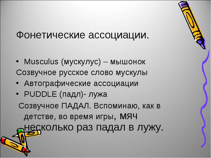 Фонетические ассоциации. Musculus (мускулус) – мышонок Созвучное русское слов...