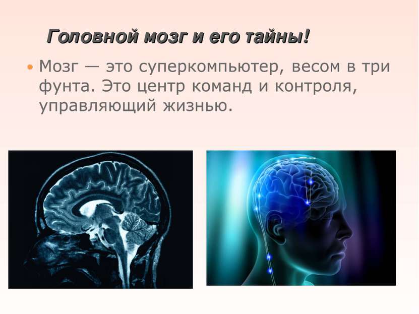 Головной мозг и его тайны!