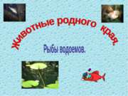 Животные родного края. Рыбы водоемов