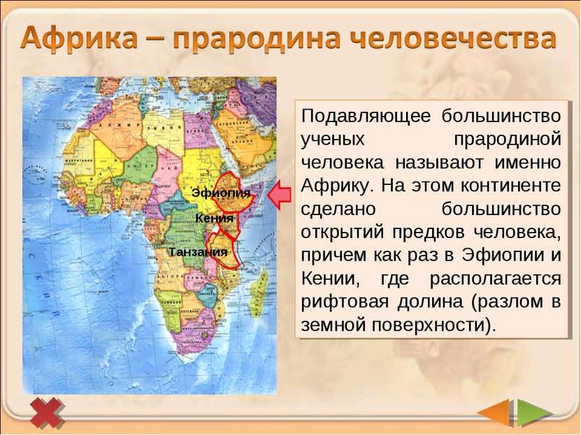 Эфиопия Кения Танзания Подавляющее большинство ученых прародиной человека наз...
