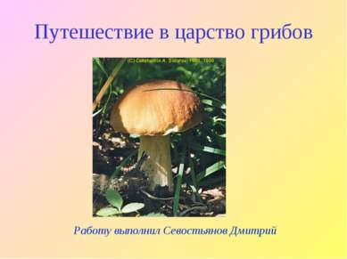 Работу выполнил Севостьянов Дмитрий Путешествие в царство грибов