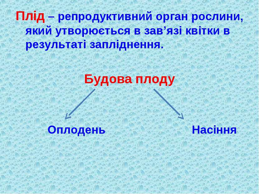 Плід – репродуктивний орган рослини, який утворюється в зав’язі квітки в резу...