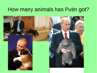 How many animals has Putin got?