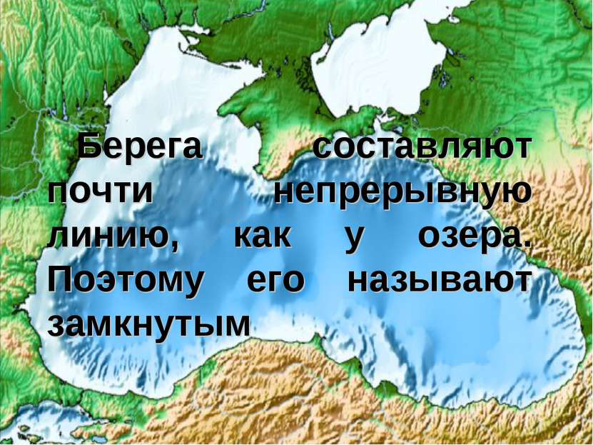 Экология черного моря. Экология черного моря презентация.