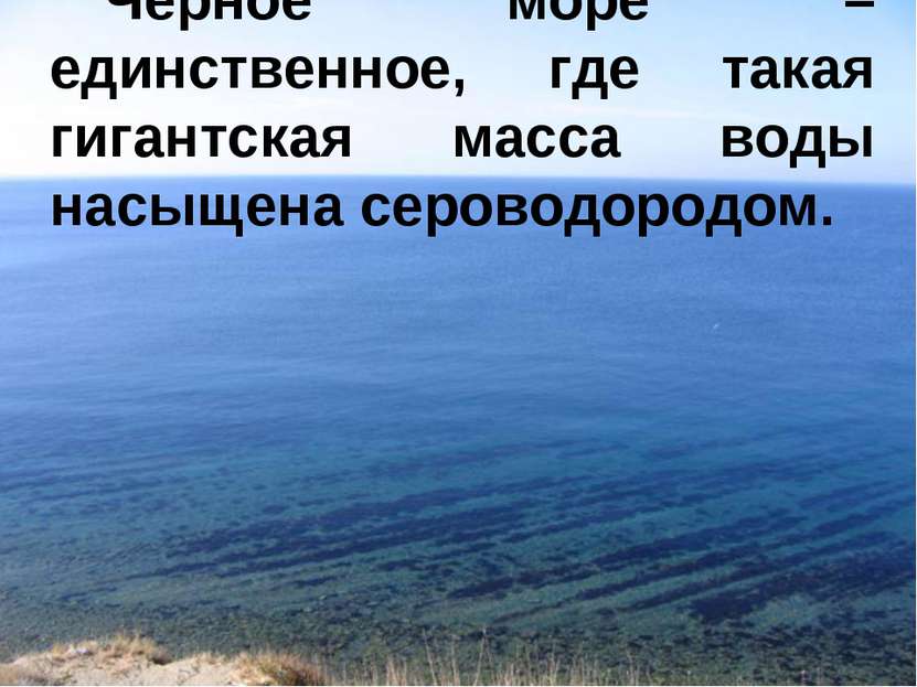 Черное море – единственное, где такая гигантская масса воды насыщена сероводо...