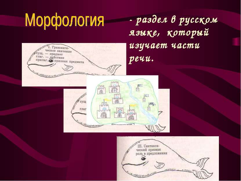- раздел в русском языке, который изучает части речи.