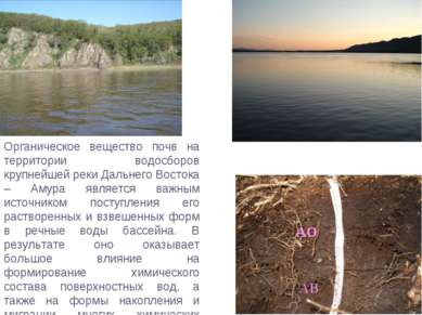 Органическое вещество почв на территории водосборов крупнейшей реки Дальнего ...