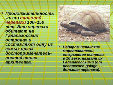 Продолжительность жизни слоновой черепахи 100–150 лет. Эти черепахи обитают н...