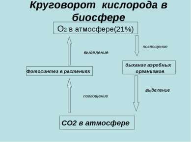 Круговорот кислорода в биосфере О2 в атмосфере(21%) поглощение выделение дыха...