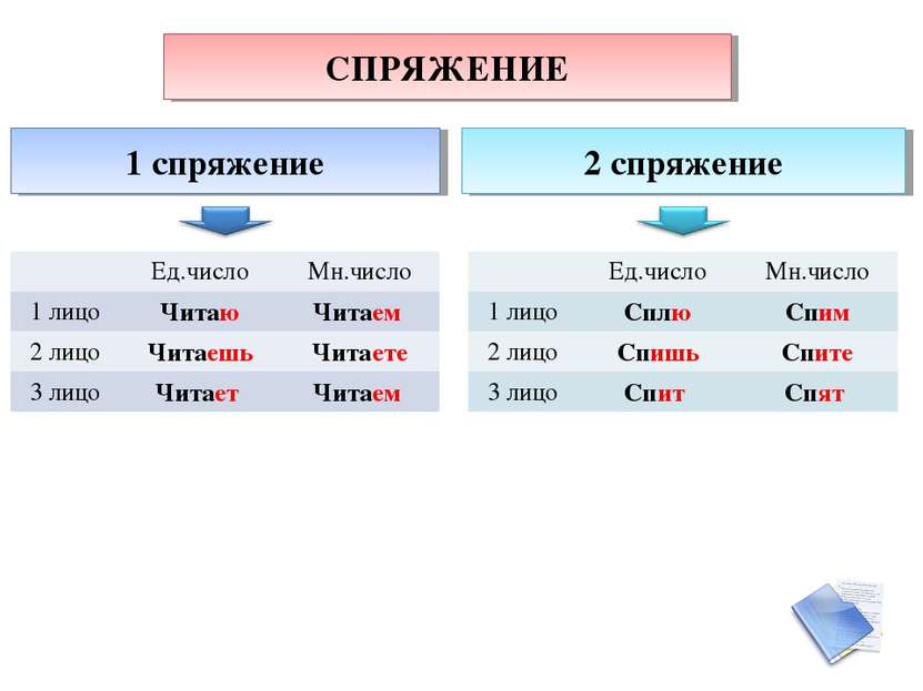 2 Лица 1 Фото