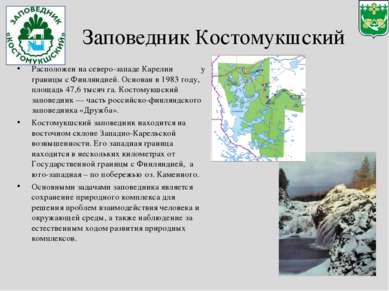 Заповедник Костомукшский Расположен на северо-западе Карелии у границы с Финл...
