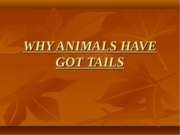Whu animals have got tals